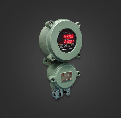 Flow-Totalizer-1008S