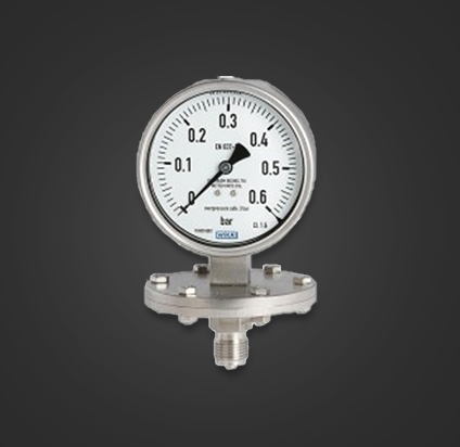 Pressure-Gauge-Diaphragm-Type
